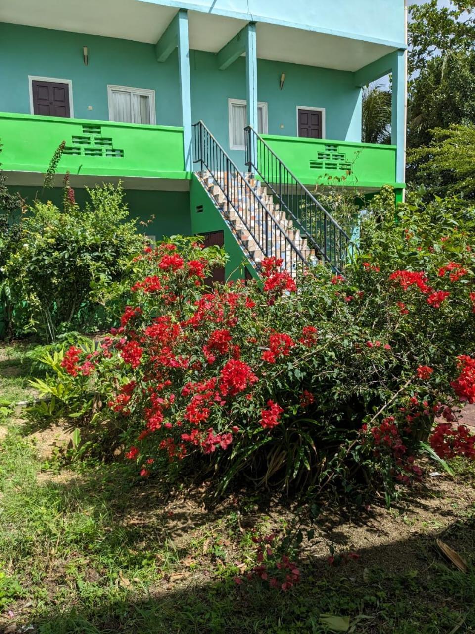 De Kolibrie Appartementen Paramaribo Luaran gambar